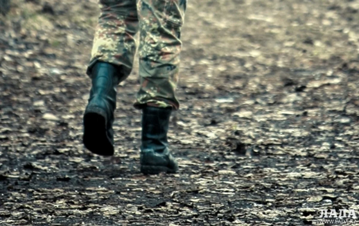 Фото из сети интернет