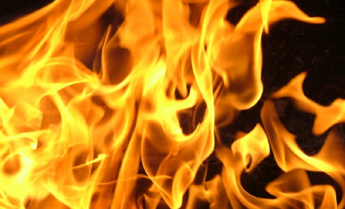 Фото с сайта Videlson.ru