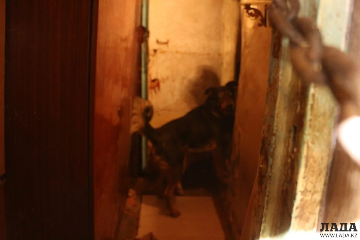 Фото из архива «Лады»