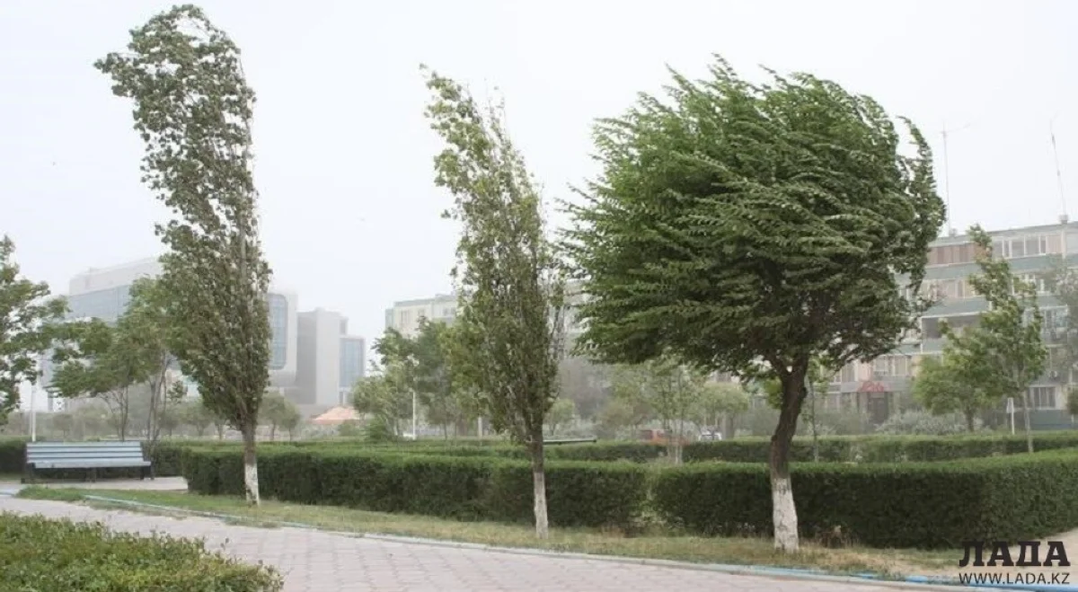 Иллюстративное фото