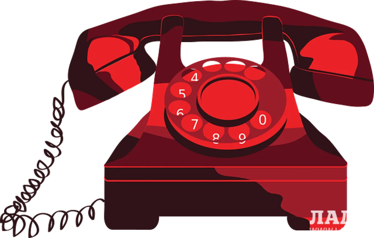 Фото из открытых источкиков