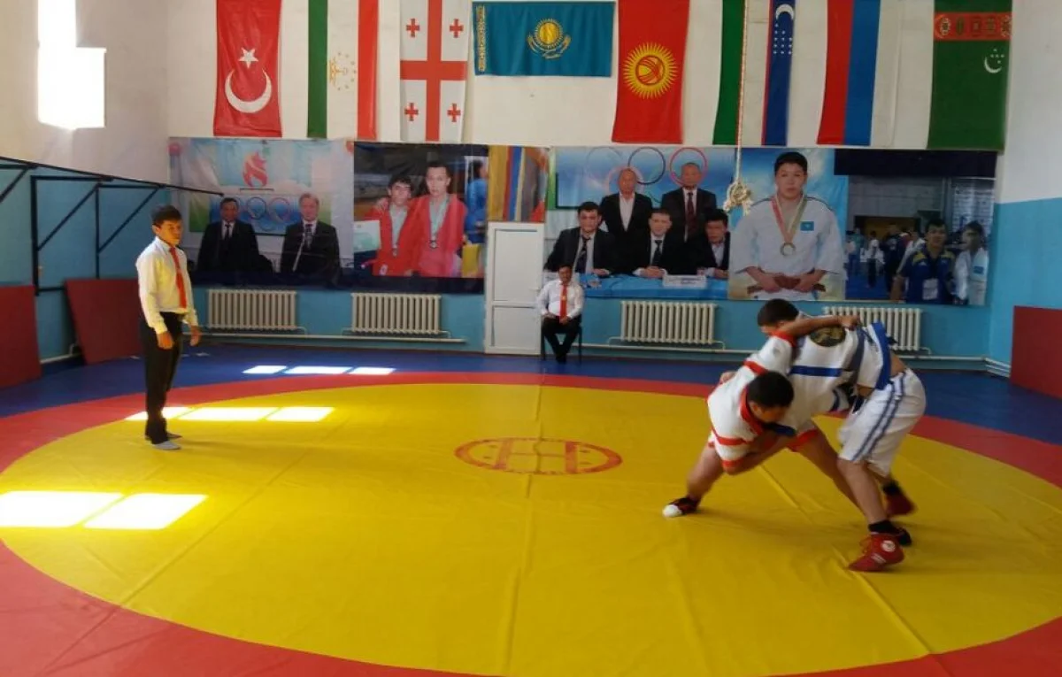 Борьба за чемпионский титул. Фото предоставлено К.Бисенкулы