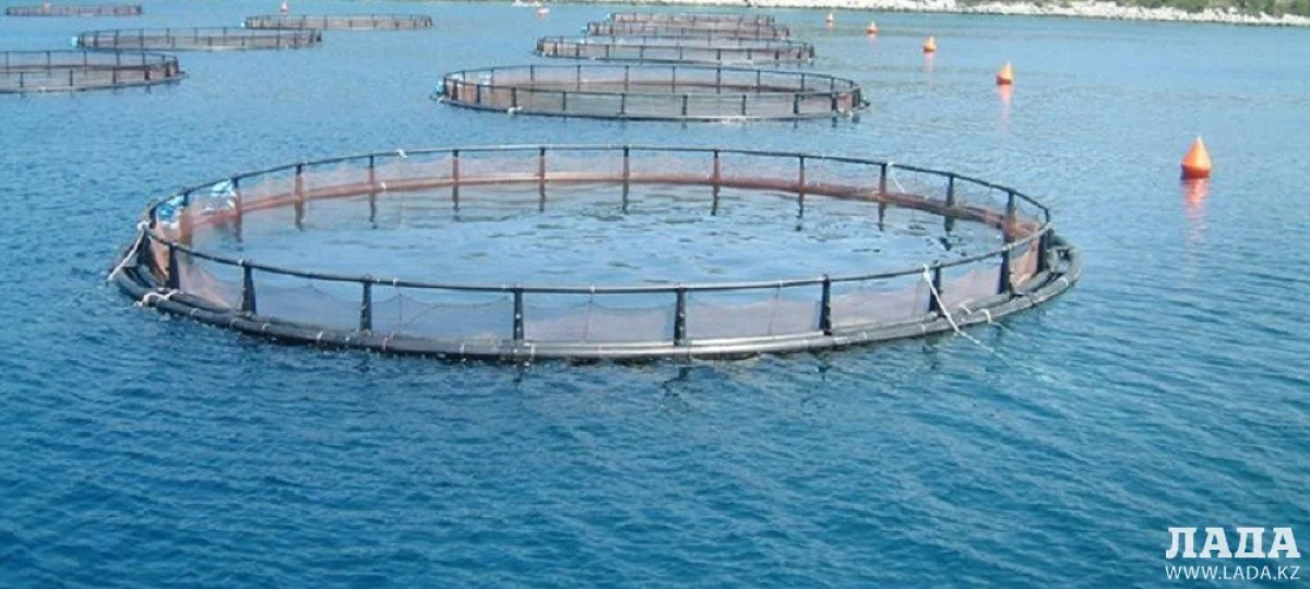 Иллюстративное фото