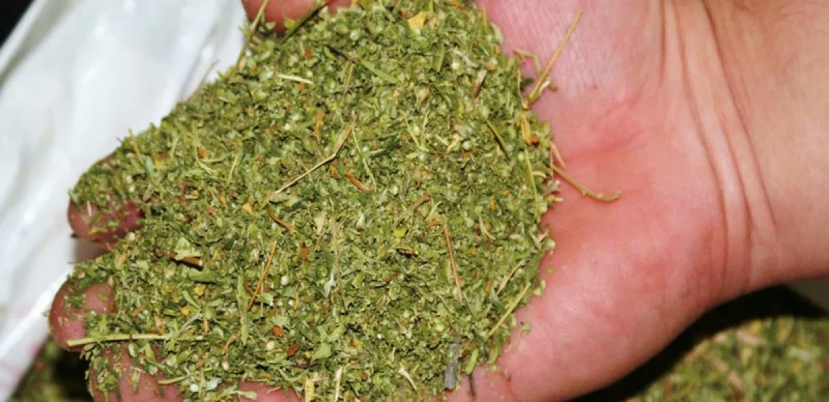 Фото с сайта ullica.ru