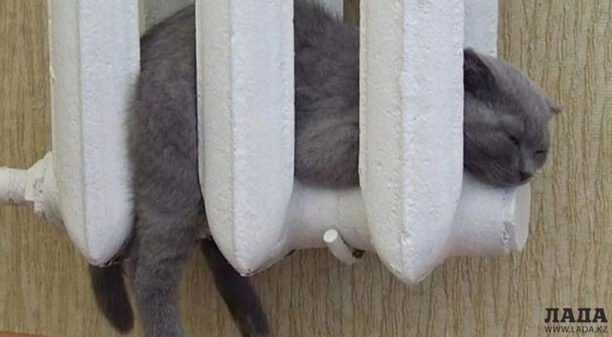 Фото из архива Lada.kz