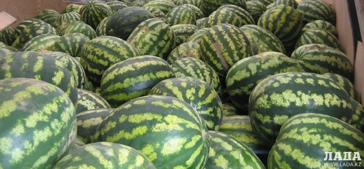 Фото из архива Lada.kz