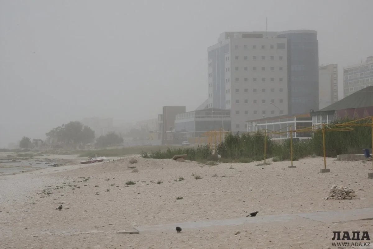 Фото Ольги Ярославской из архива Lada.kz
