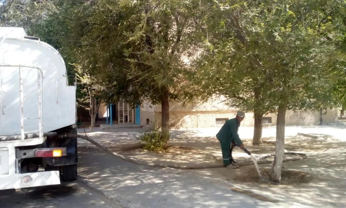 Фото ТОО «Кала жолдары»