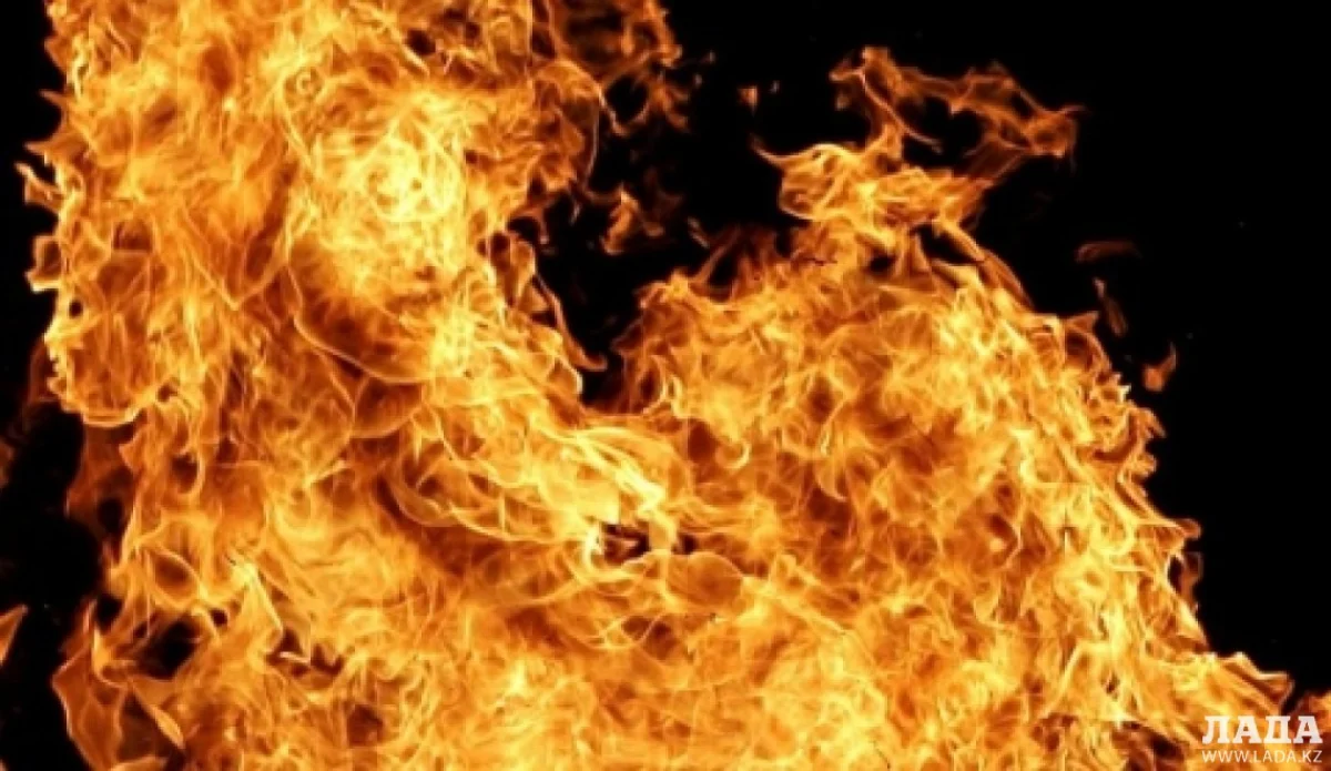 Иллюстрация из открытых источников