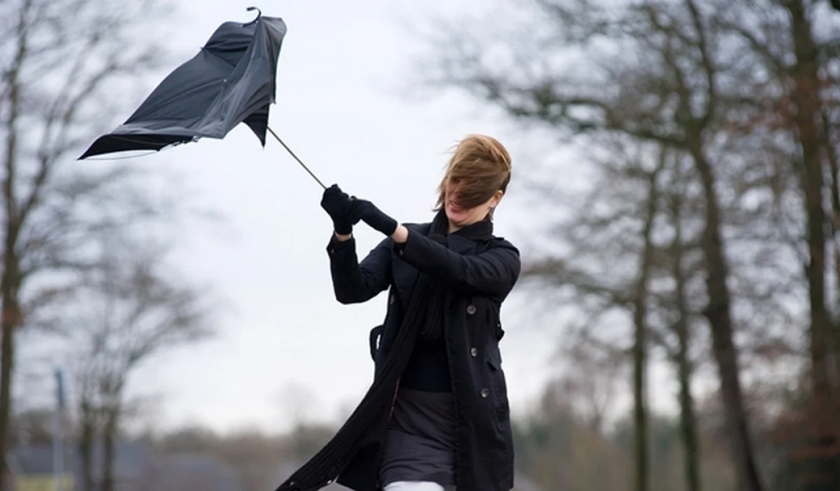 Фото severpost.ru