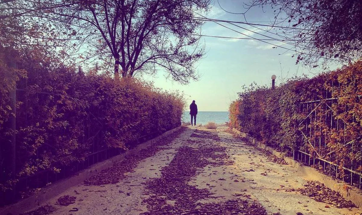 Фото Андрея Литвинова