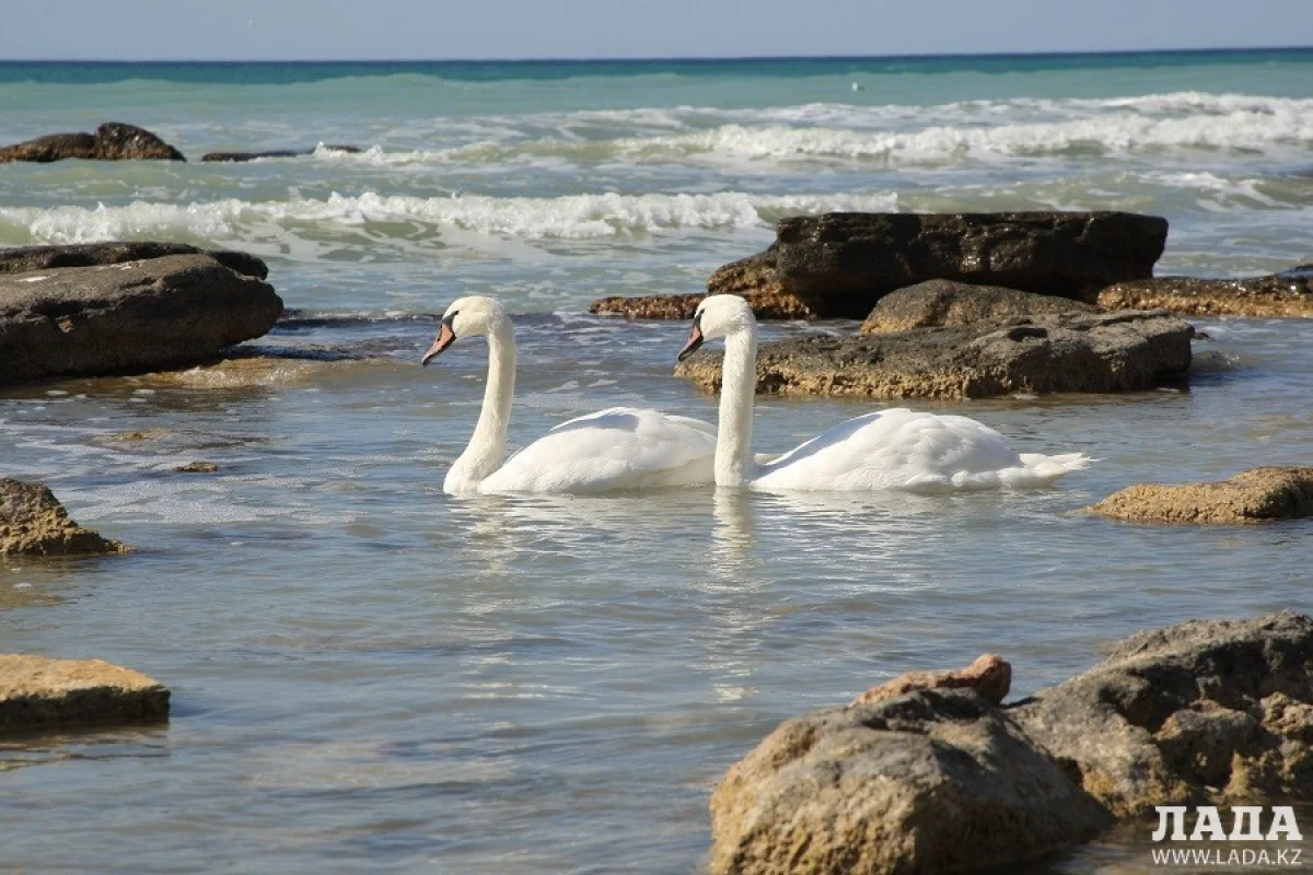 Фото Ольги Ярославской