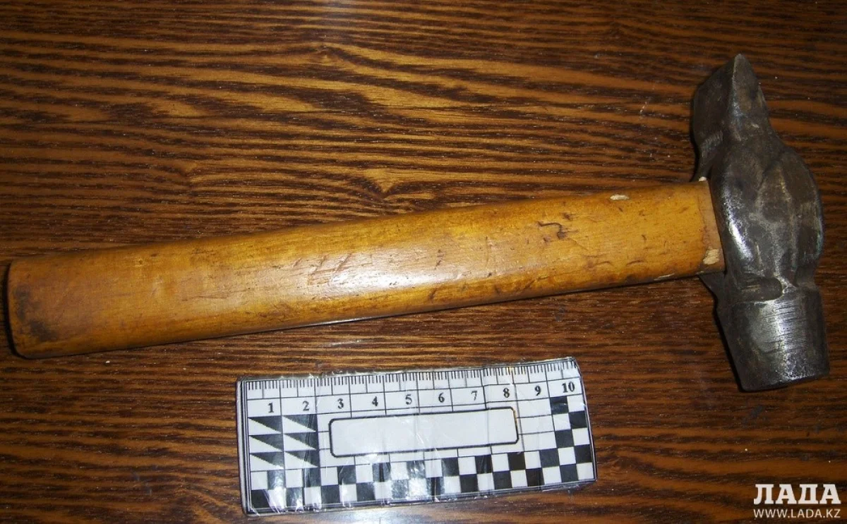 Фото из открытых источников