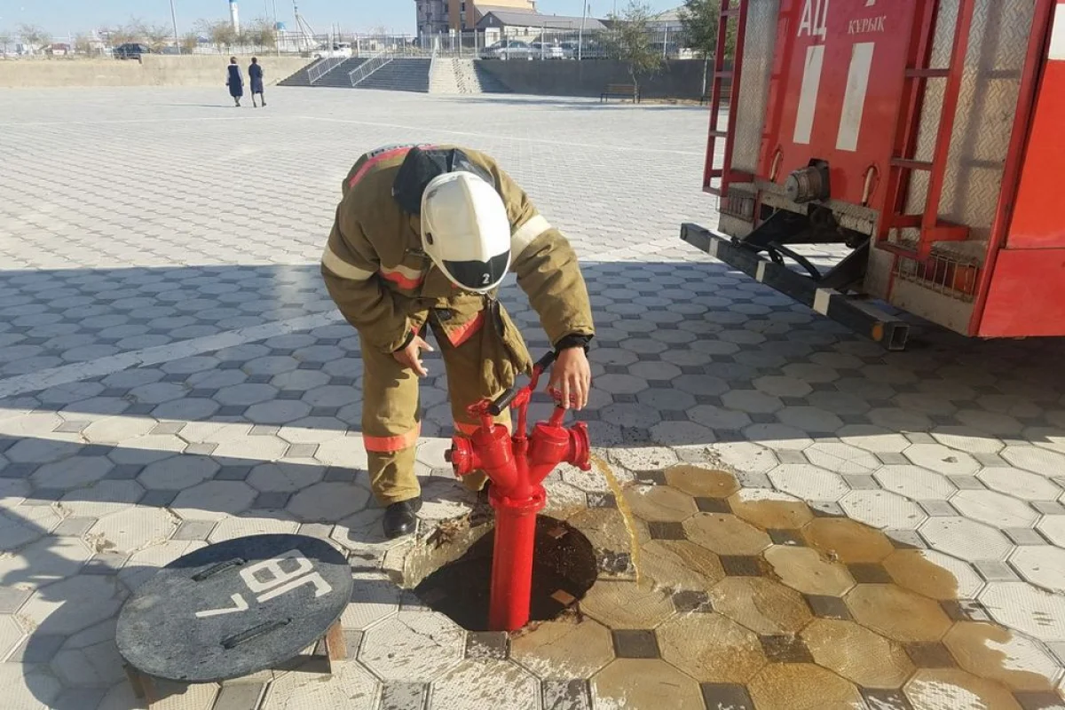 Фото предоставлено службой пожаротушения