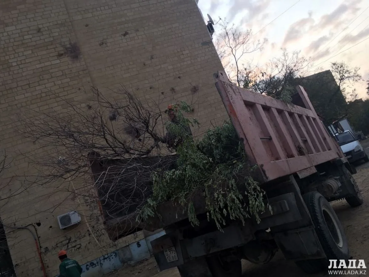 Фото пользователя Lada.kz