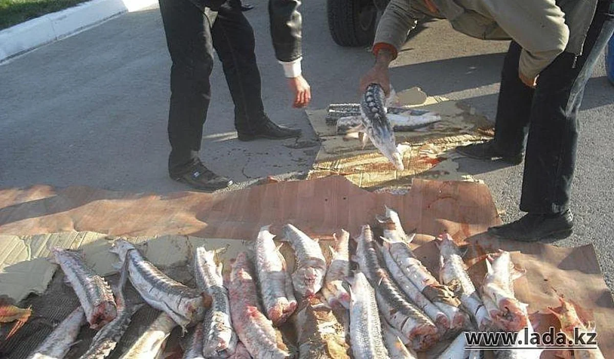 Фото из архива Lada.kz