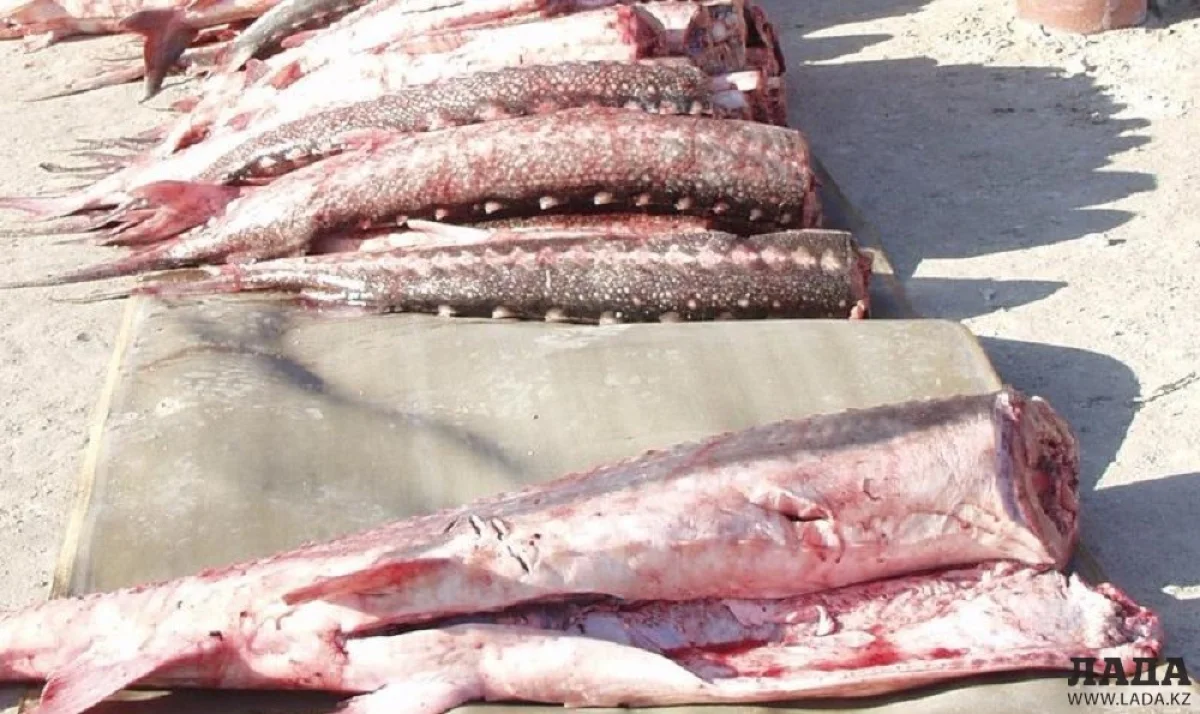 Иллюстративное фото