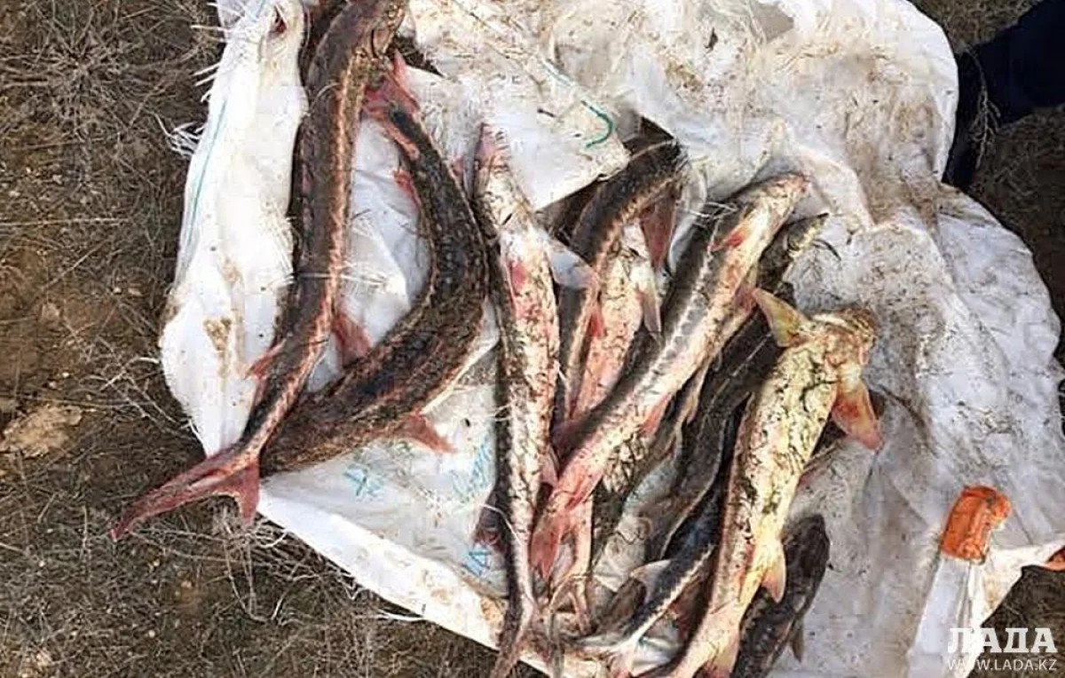 Фото из архива Lada.kz