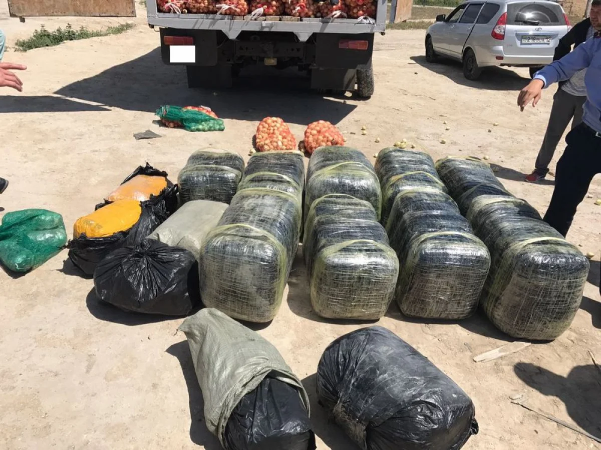 Изъятые мешки с наркотиком. Фото УБН ДВД Мангистауской области