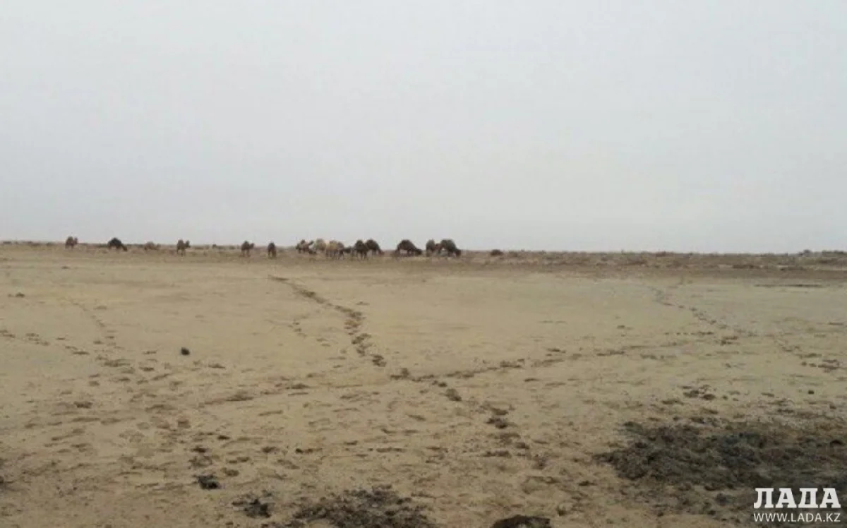 Иллюстративное фото