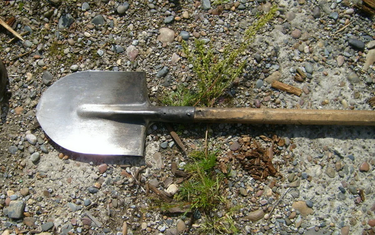 Фото из доступных источников