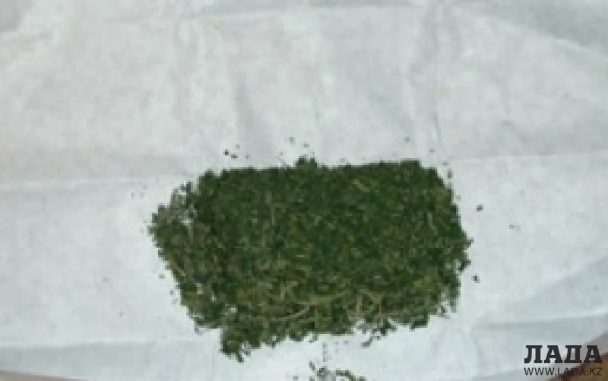 фото из сети интернет