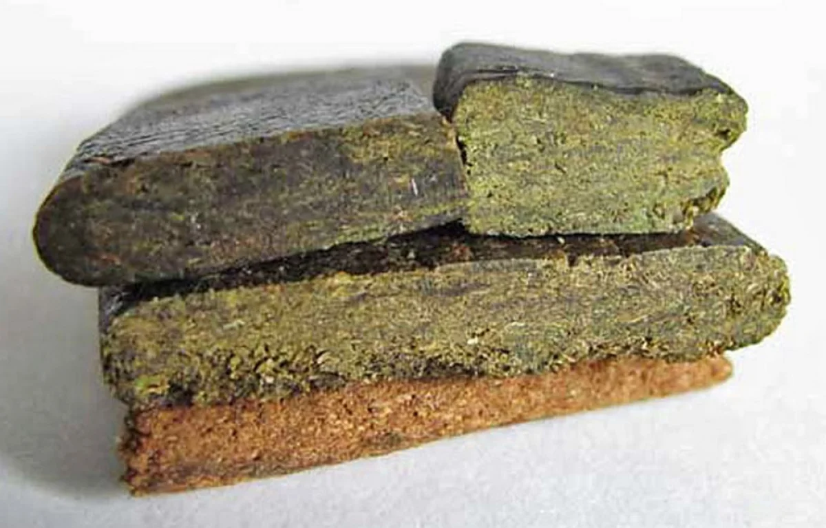 Фото пресс-службы ДВД на транспорте МВД РК