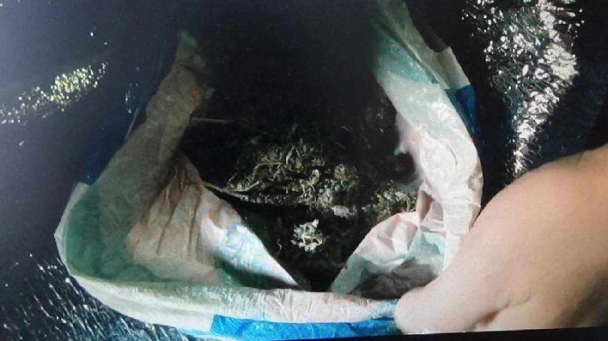 Фото из архива Lada.kz