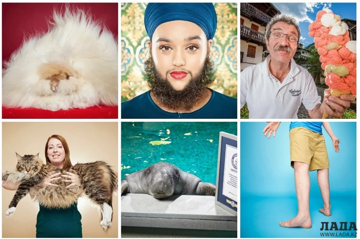 Иллюстративное фото с сайта fullpicture.ru