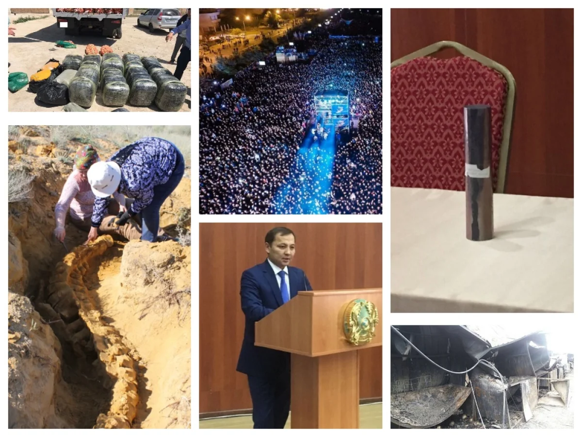 Коллаж Lada.kz