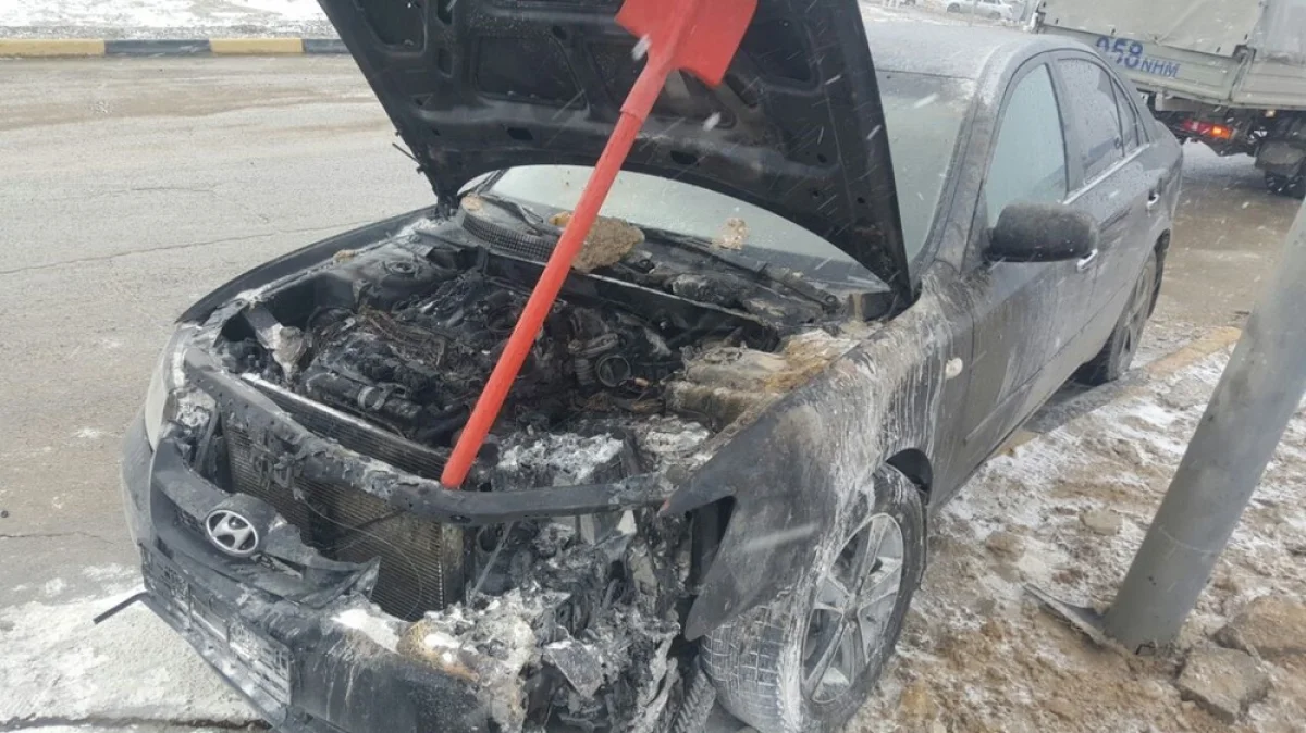 Фото предоставлено службой пожаротушения