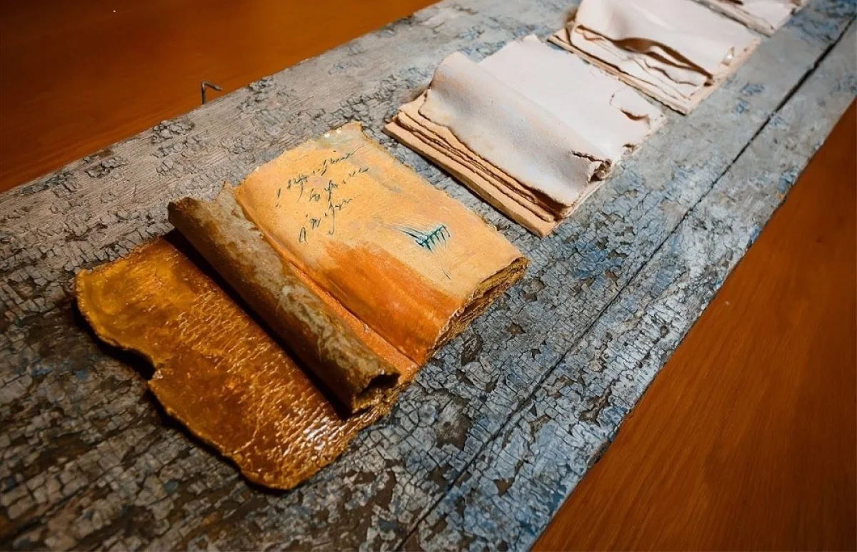 «Пустотелая книга»