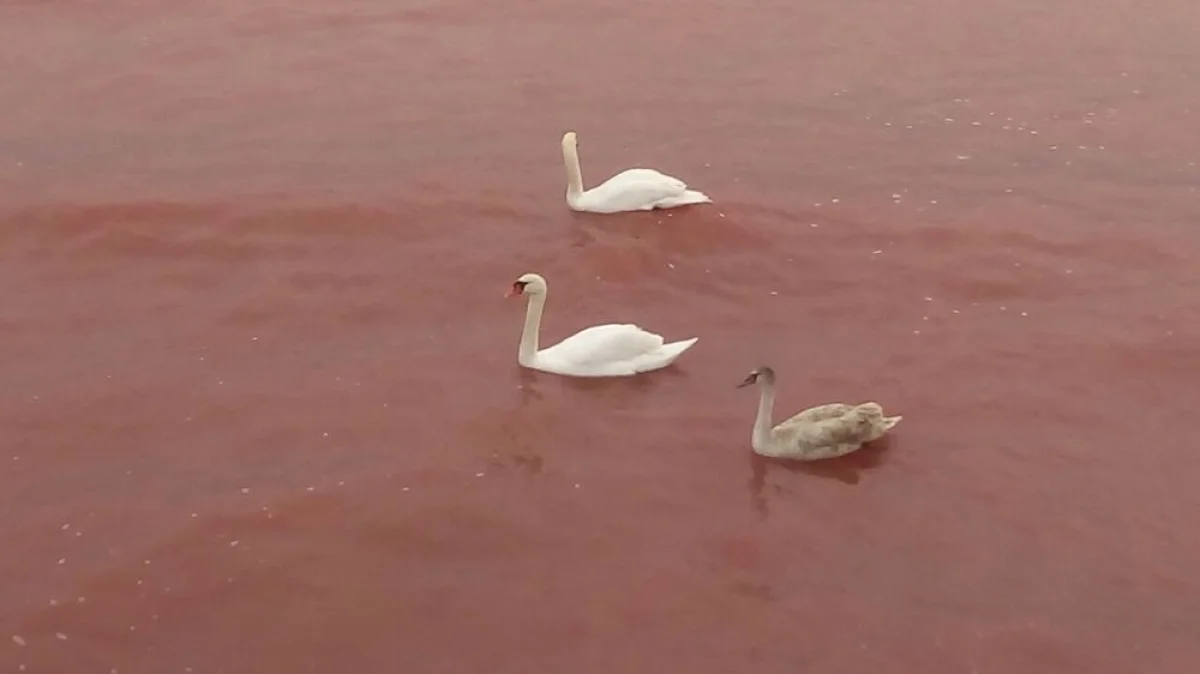 Фото пользователя lada.kz