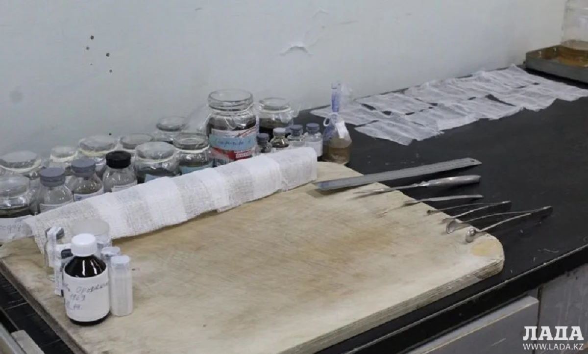 Иллюстративное фото