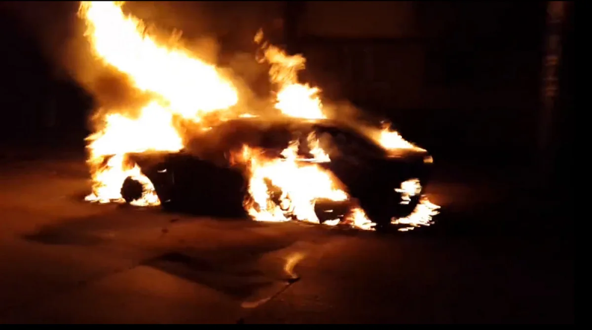 Фото с сайта www.rzn.info