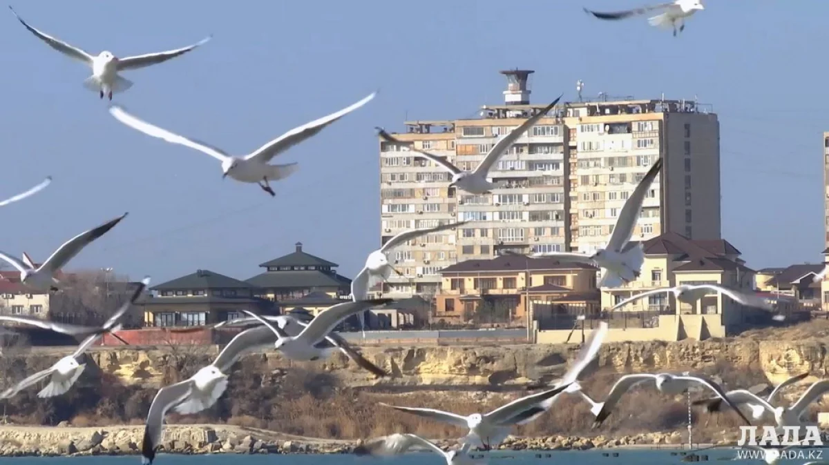 Фото Рашида Исмагилова