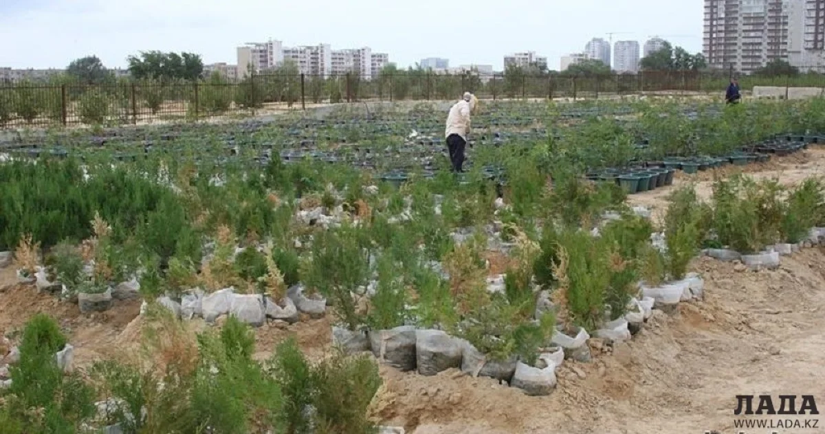 Иллюстративное фото