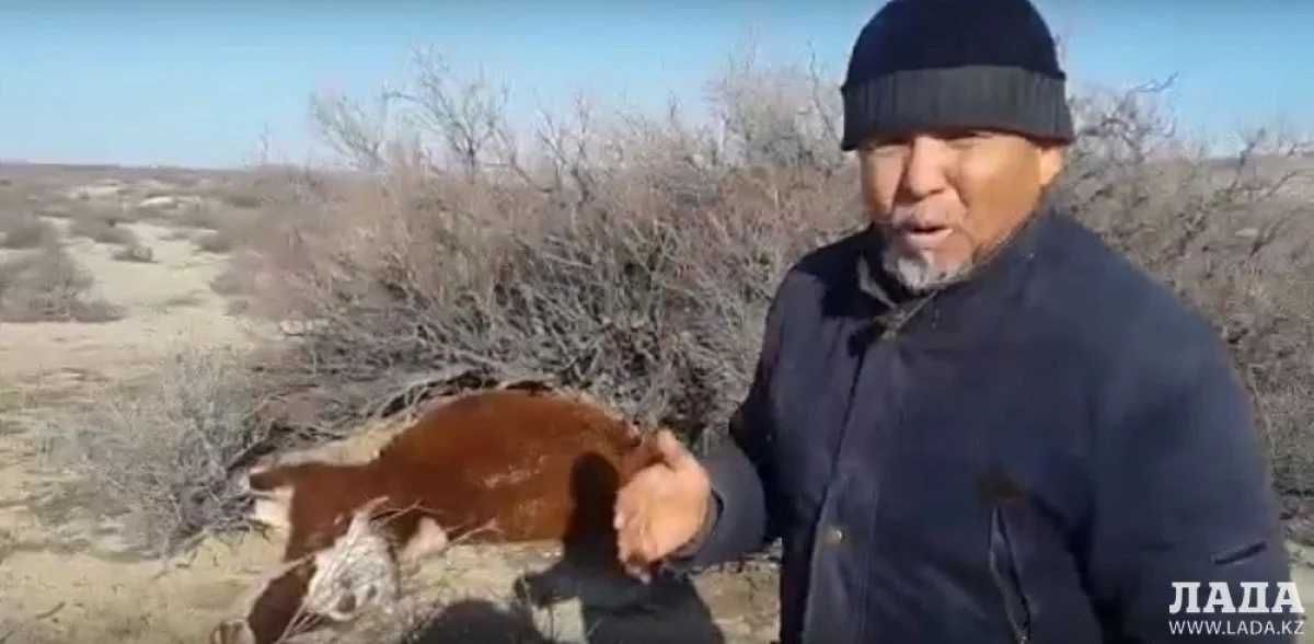 Каракиянский район