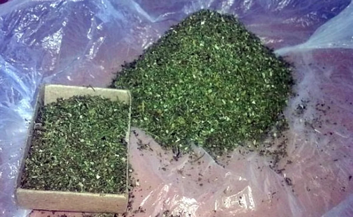 Фото: kremlinpress.com