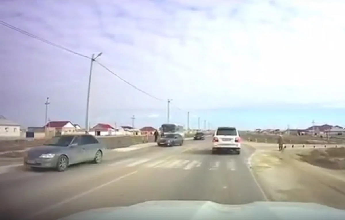 Скриншот видео