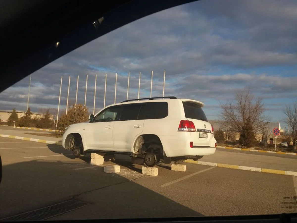 Фото пользователя Lada.kz