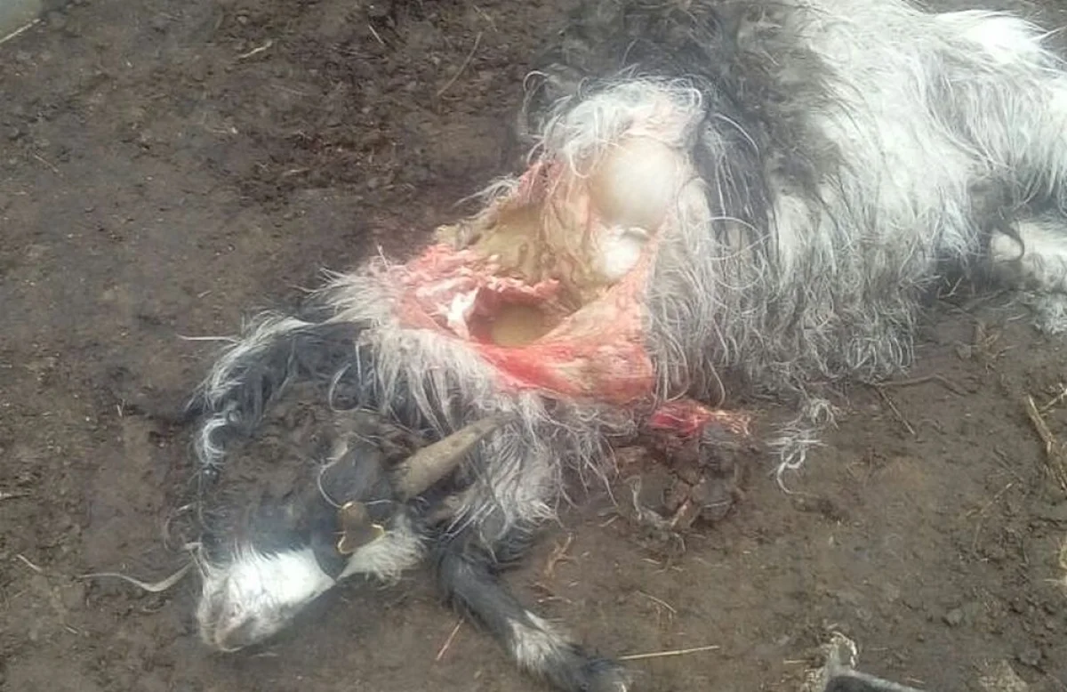 Фото жителей села