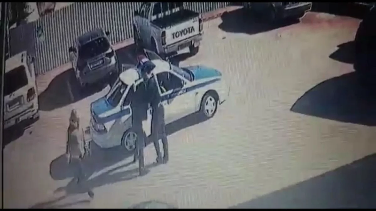 Кадр из видео