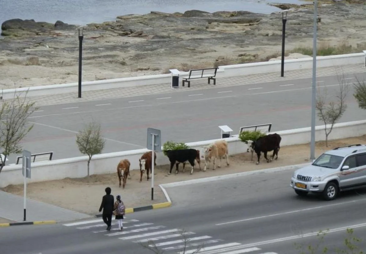 Фото из архива Lada.kz