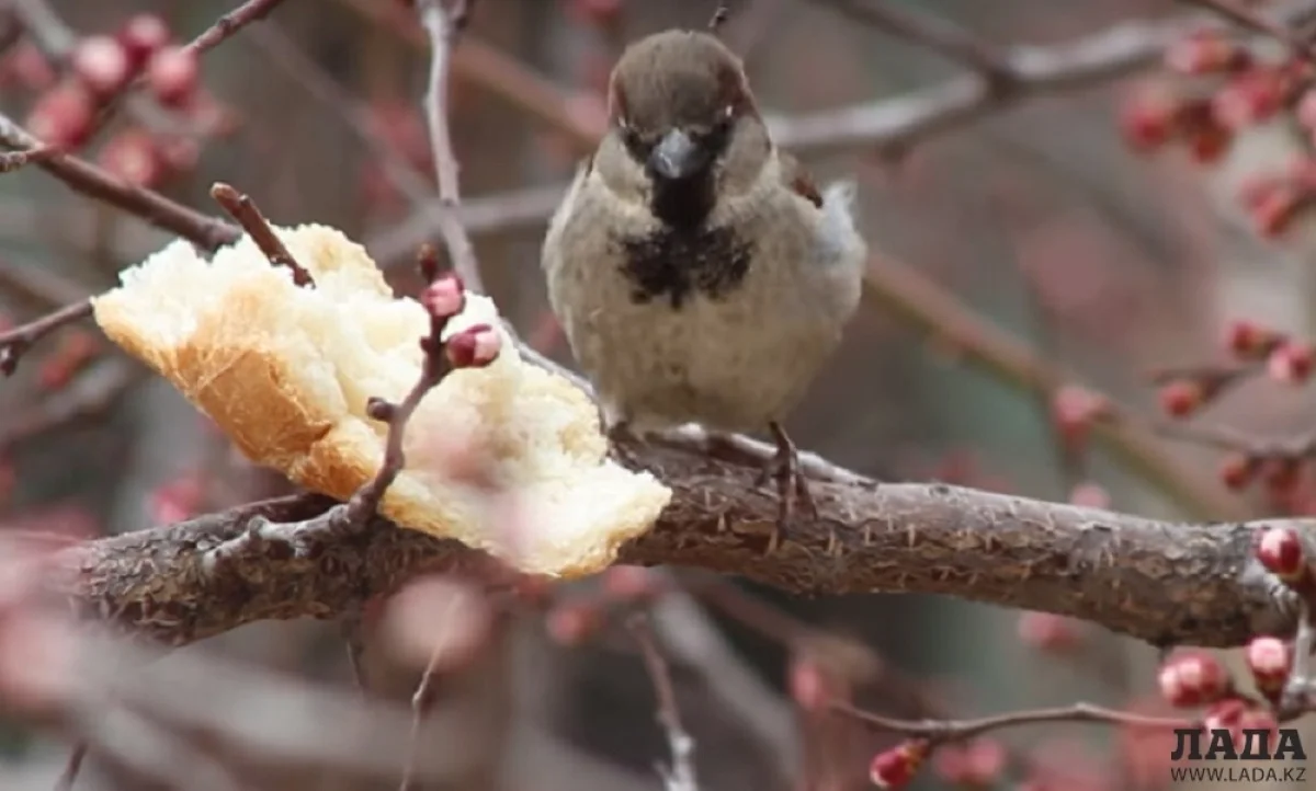 Фото Рашида Исмагилова