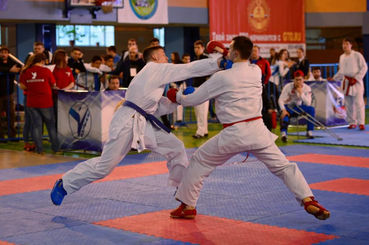 Всероссийские соревнования по каратэ WKF «Кубок Успеха». Фото с сайта karate.ru