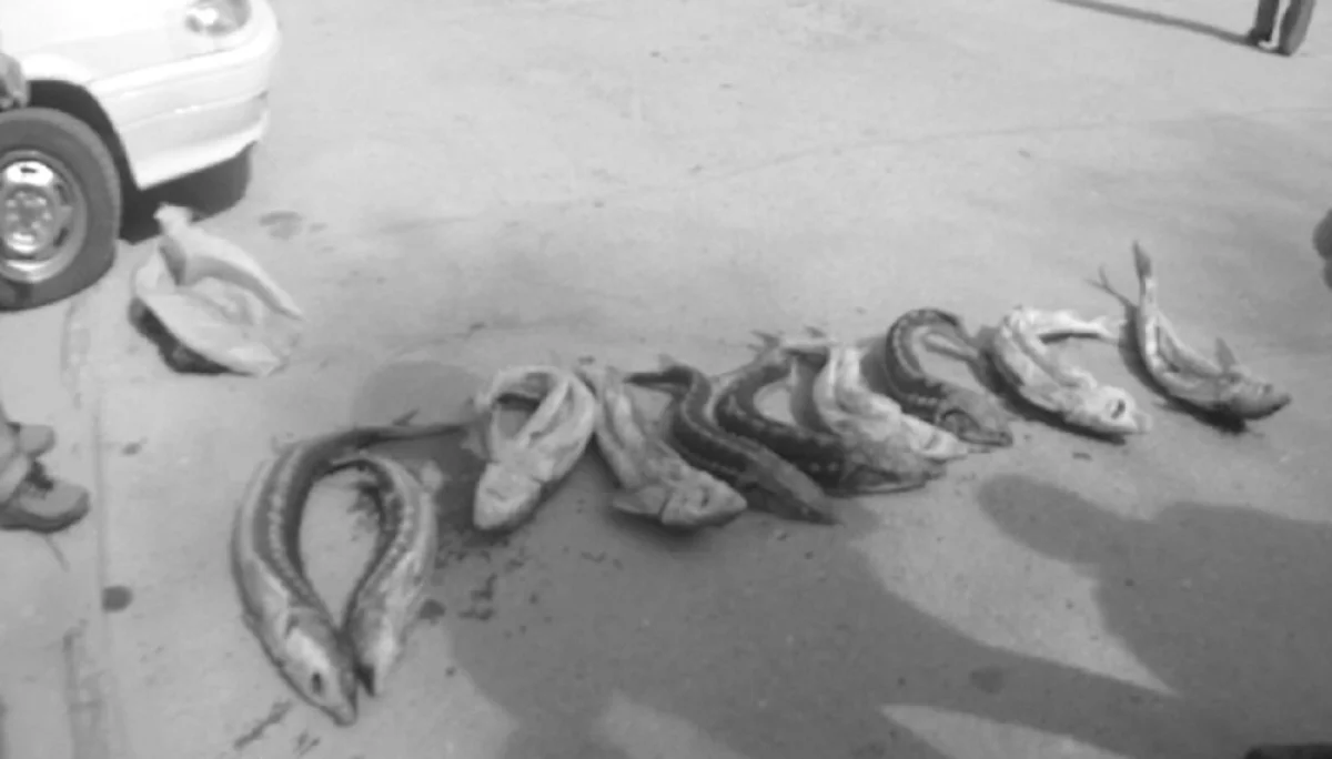 Фото пресс-службы ведомства