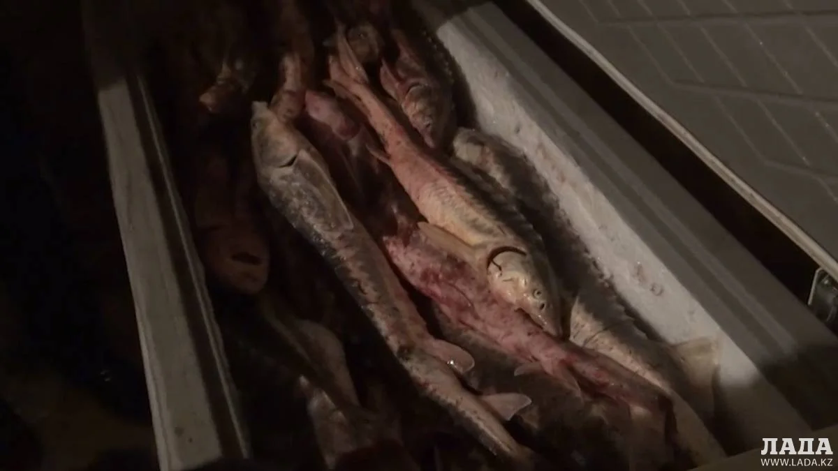 Скриншот видео