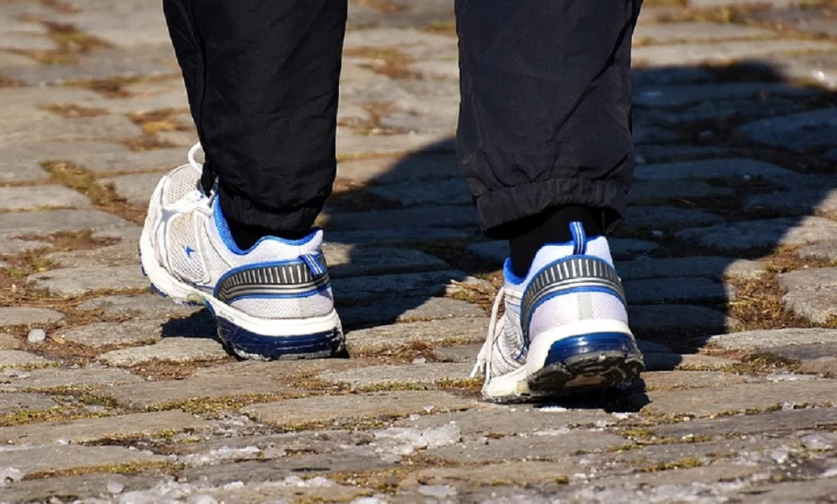 Фото с сайта pixabay.com