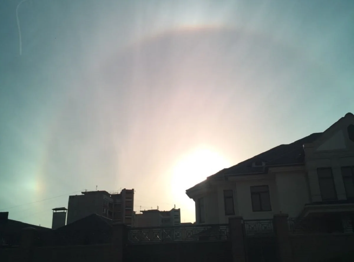 Фото из социальных сетей